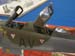 ALBI2007 041