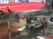 ALBI2007 042