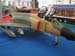 ALBI2007 043