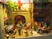 ALBI2007 079