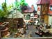 ALBI2007 080