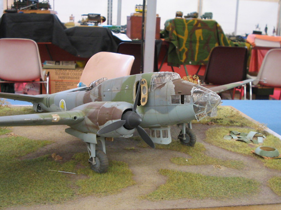Expo Albi IPMS 2005 010