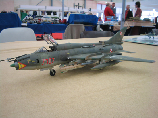 Expo Albi IPMS 2005 053