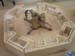 Expo Albi IPMS 2005 015
