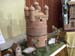 gimont-2012 020